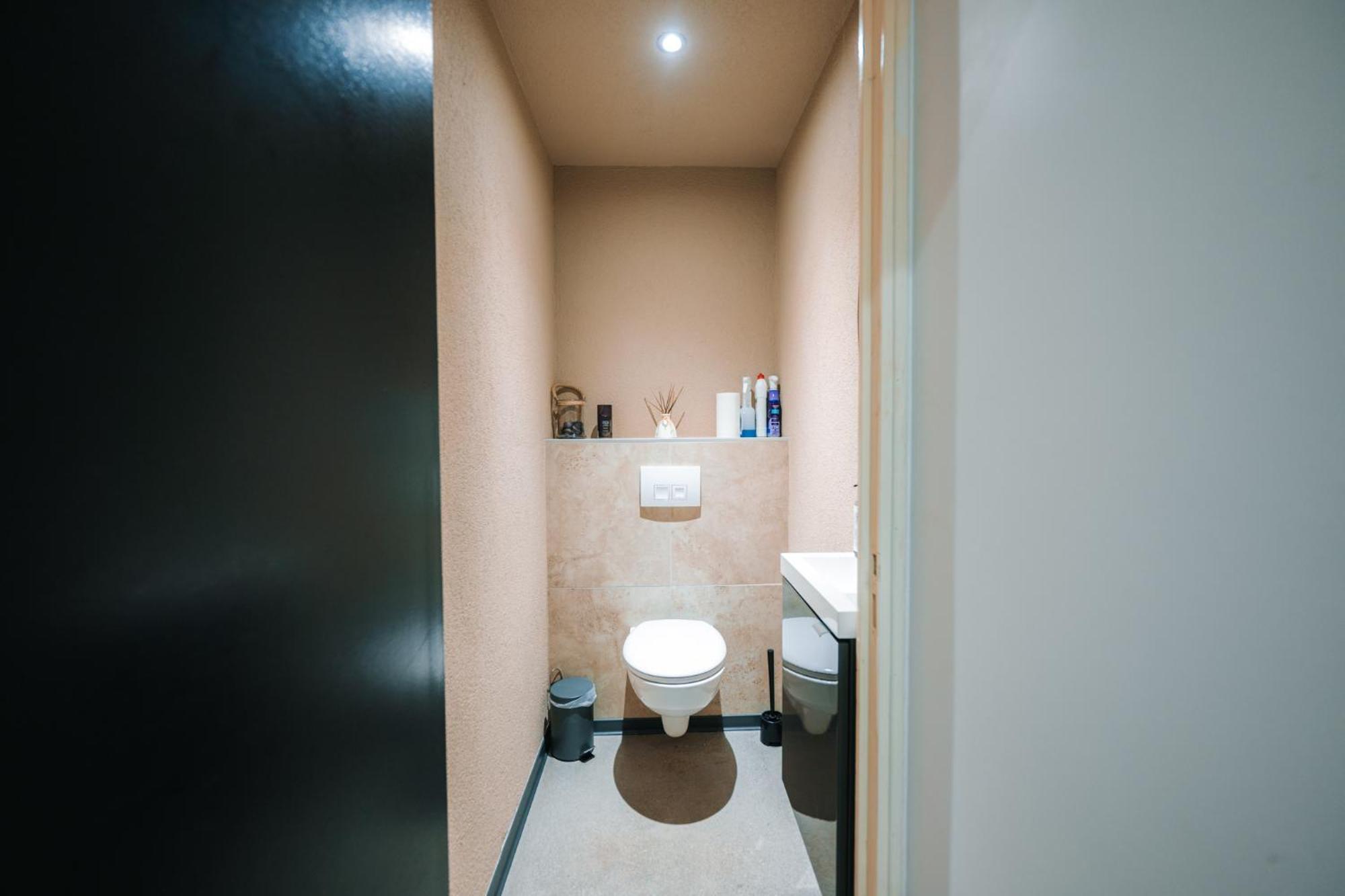 Grand Appartement Rez De Jardin Гебвиллер Экстерьер фото